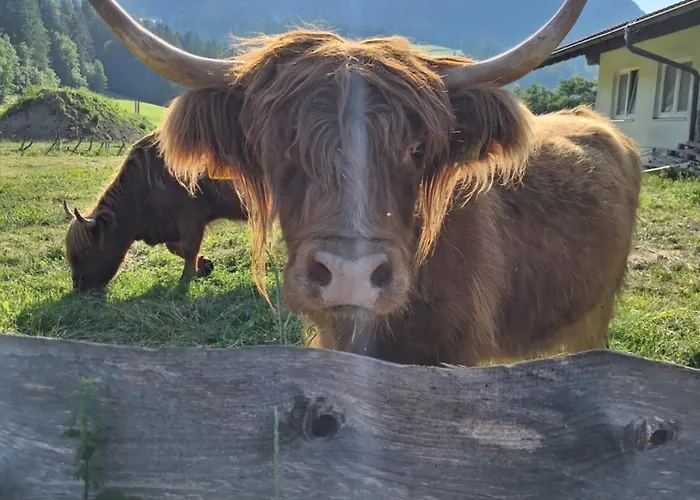 Schernhof Hoamatzeit - Tiroler Bauernhof Apartamento Söll