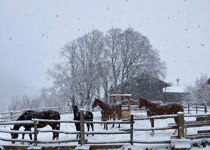 Schernhof Hoamatzeit - Tiroler Bauernhof Appartamento